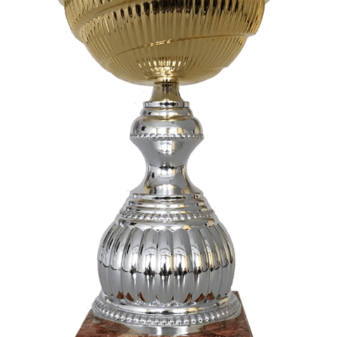 A takhle vypadá pohár pro vítěze.