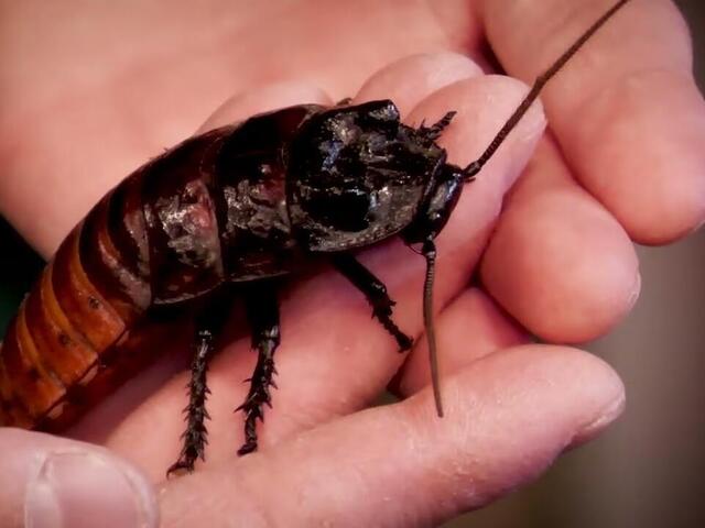 S bugem raketou aneb 2. místo z celostátního kola CanSatu pro Deltu