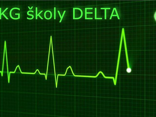 „Zdravotní“ data školy 2024