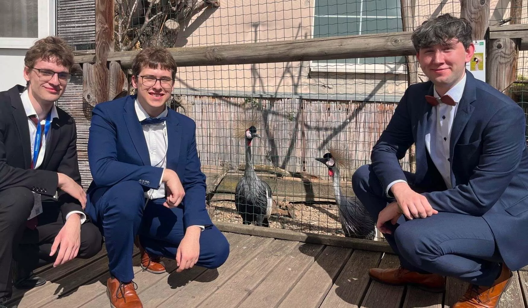 Po obhajobě jsme se šli podívat do dvorku místního gymnázia - měli tam jeřáby královské.